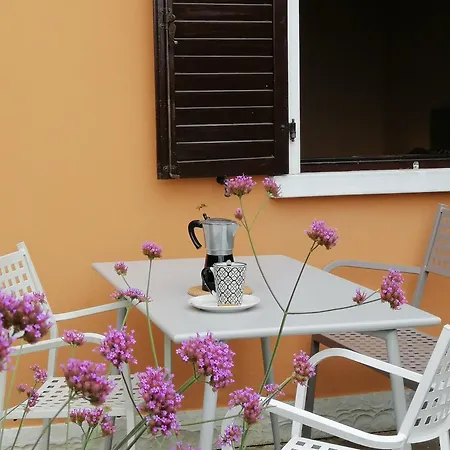 Finesign Al Apartment
